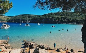 Can Romy Appartement T2 A - A 80M De La Plage Cala Montgo